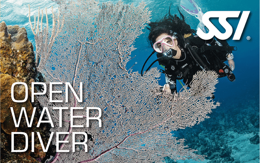 Open water diver course
